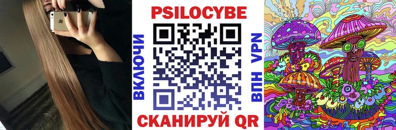 Псилоцибиновые грибы Psilocybe  Кизилюрт 