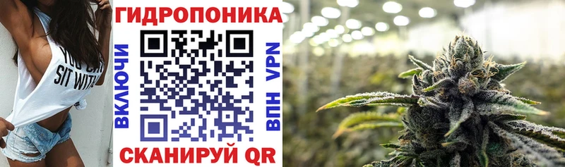 omg ссылка  Кизилюрт  Каннабис индика 